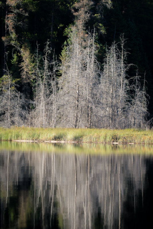 Halfway Lake 40.jpg