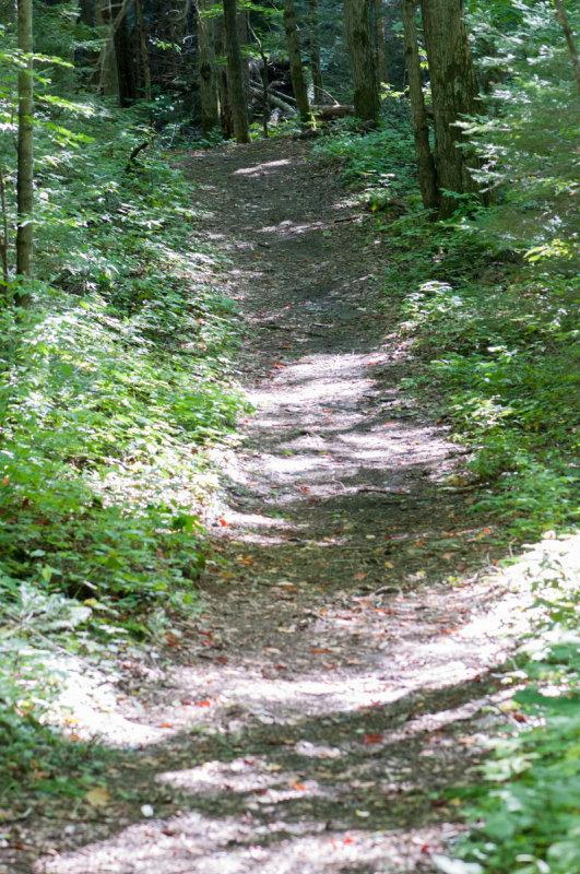 Arrowhead 13.jpg