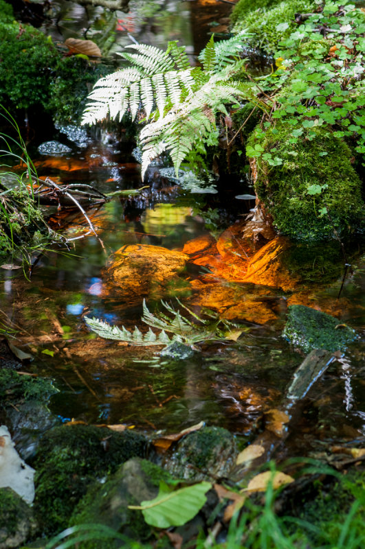 Arrowhead 8.jpg