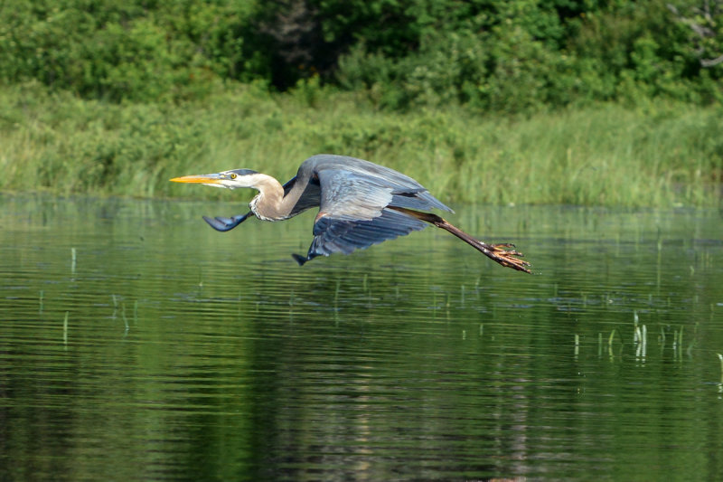 ALQ June 2014 41.jpg