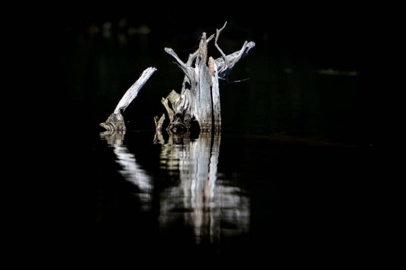 ALQ June 2014 57.jpg