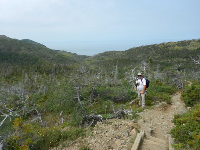NFLD Sept 2015-10.jpg
