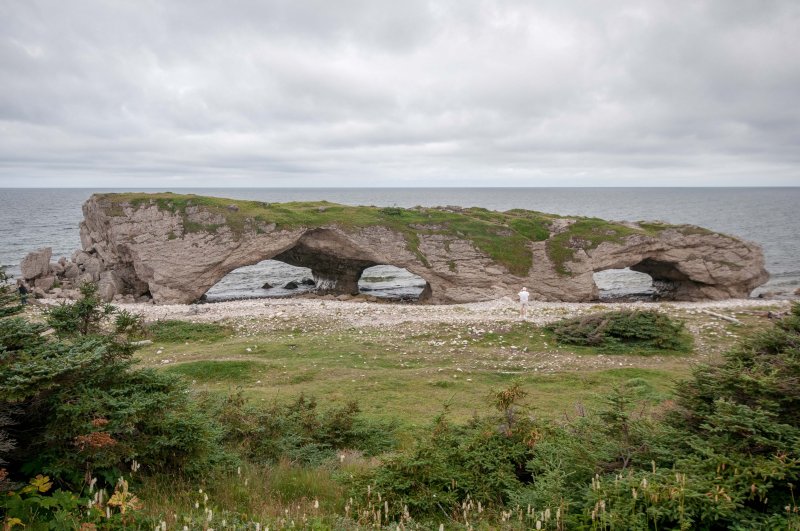 NFLD Sept 2015-37.jpg