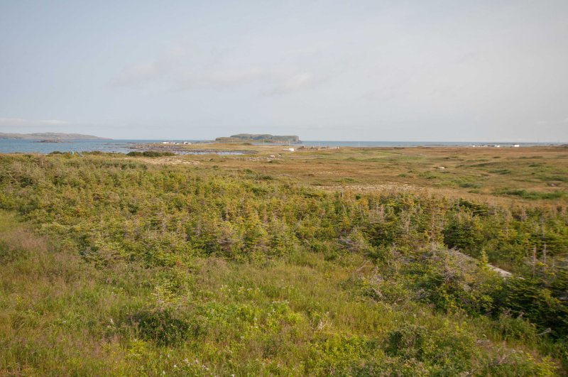 NFLD Sept 2015-44.jpg