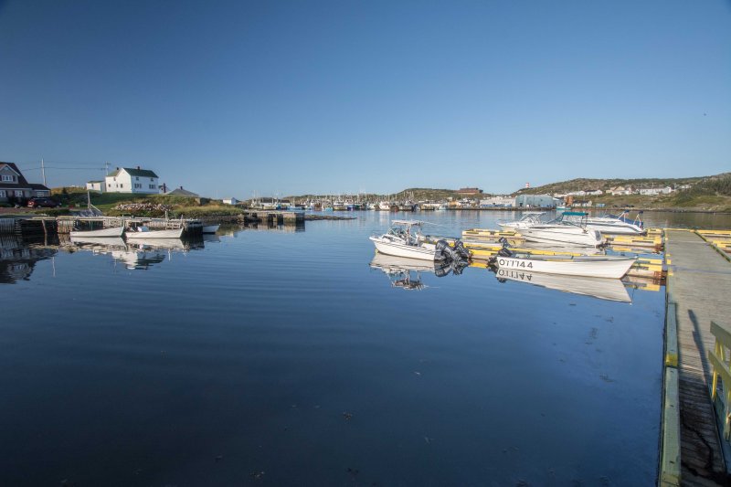 NFLD Sept 2015-71.jpg