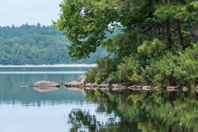 Bon Echo Aug 2014 6.jpg