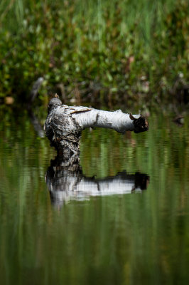 Kettle Lakes  19.jpg