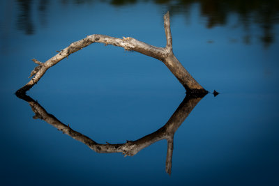 Halfway Lake 35.jpg