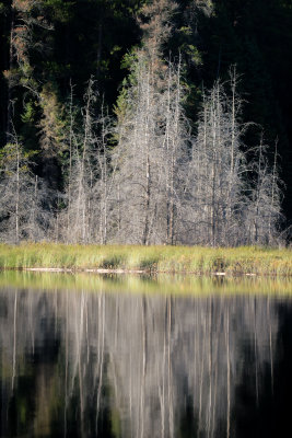 Halfway Lake 40.jpg