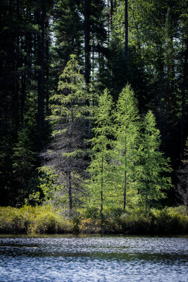 Halfway Lake 57.jpg