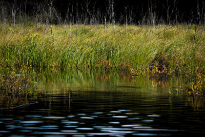 Halfway Lake 58.jpg