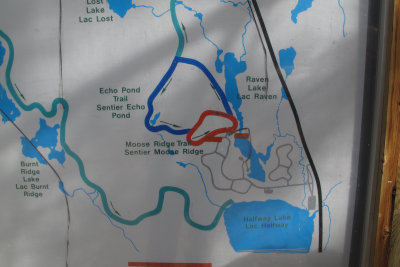 Halfway Lake 7.jpg