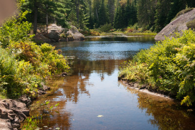 Grundy Lake 10.jpg