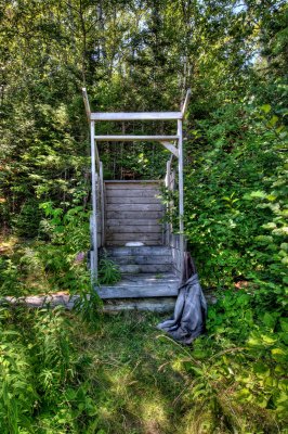 RabbitL HDR 2016 022.jpg