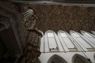 Haarlem, prot gem Grote of Sint Bavokerk zoldering [011], 2014 0897.jpg