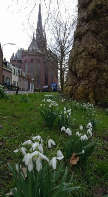 IJsselstein, kerk [cov], 2017.jpg