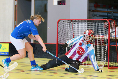 Mettmenstetten Unicorns - RD March-Höfe Altendorf 16.3.2014