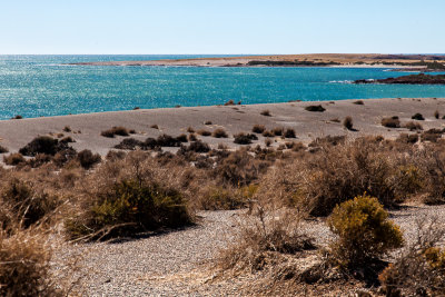 Punta Tombo