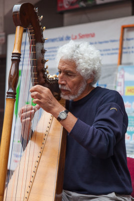 Harpist at La Recova Market 