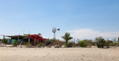 Road side shot