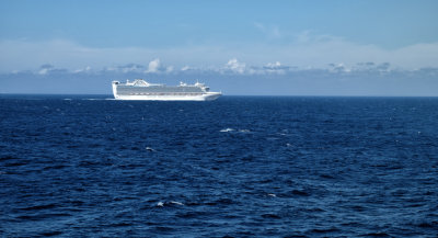 We passed the Caribbean Princess heading somewhere