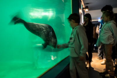 Inside the aquarium