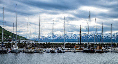 Sailboats and snow covered mountains are not something one sees in Maryland