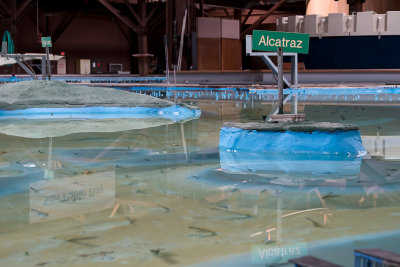 We toured the Bay Model of the Army Corps of Engineers