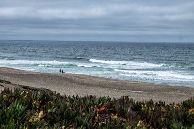 Point Reyes again