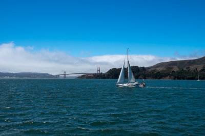 From a ferry crossing the Bay