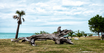 We spent some time at the Fort Zachary Taylor Historic State Park
