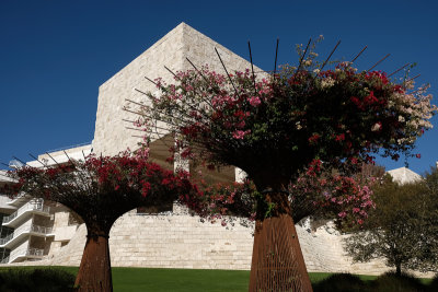 In the Formal Gardens