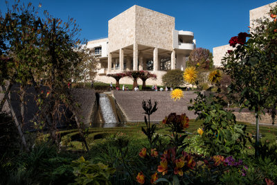 Low in the Central Garden