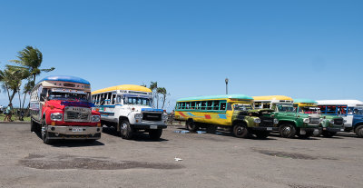 Local buses