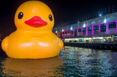 yellow duck by ocean terminal 