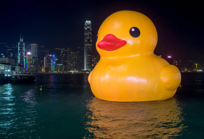 Rubber Duck by Victoria Harbour 