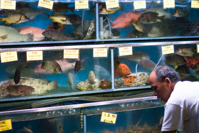 seafood in a tank 
