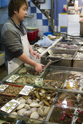 fresh seafood galore 