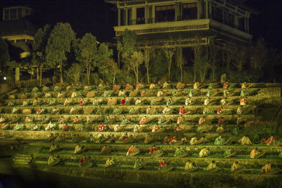 Impression Dahongpao by Zhang Yimou