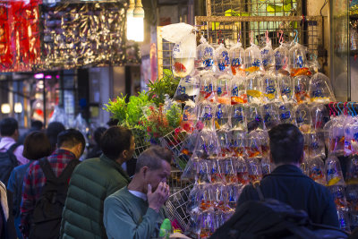 Street Scene of Kowloon, Hong Kong