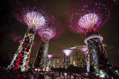 Garden by the Bay with Marina Bay Sands 