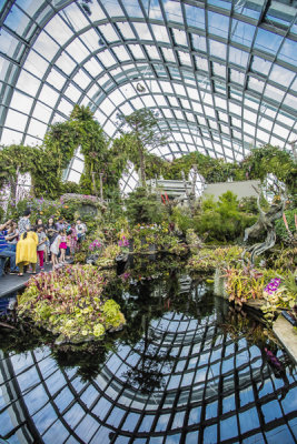 inside Cloud Forest Dome 