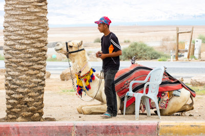 camel ride anyone? 