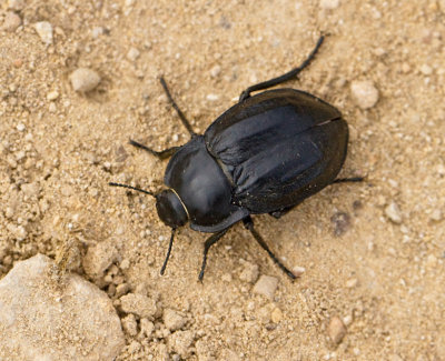 g9/62/900762/3/151021964.jZmuTHu4.jpg