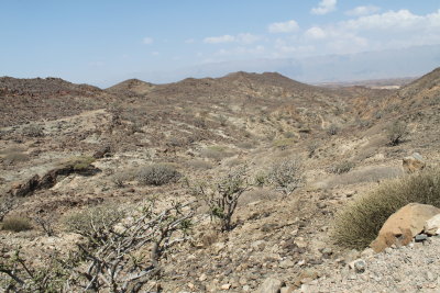 IMG_9714.JPG