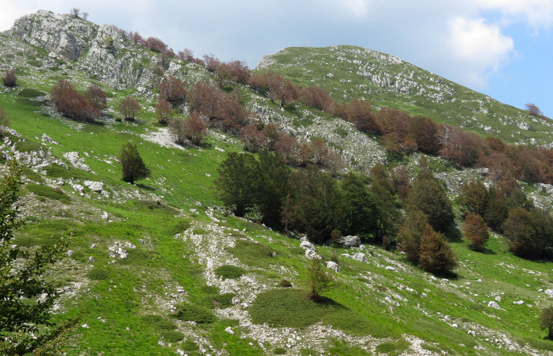 ABRUZZO NATIONAL PARK ITALY (30).JPG