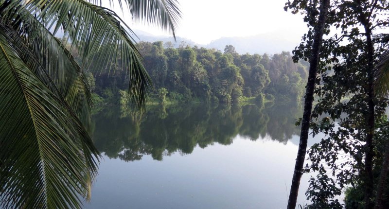 THATTEKAD WILDLIFE SANCTUARY KERALA INDIA (5).JPG