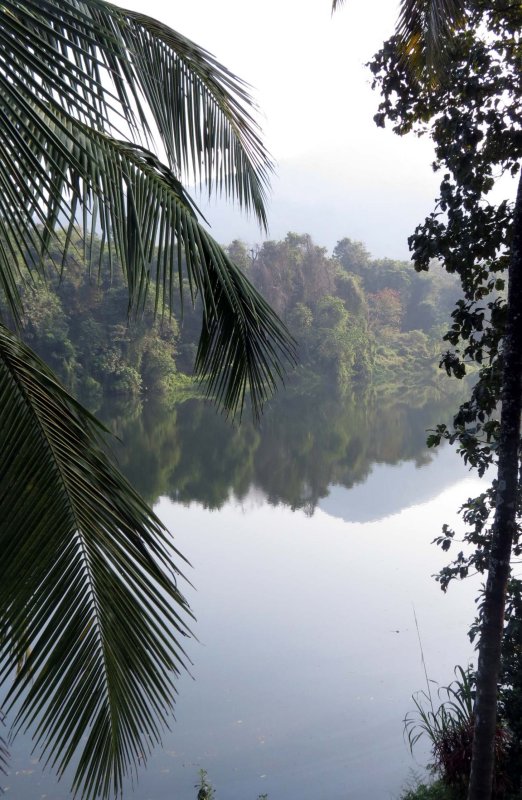 THATTEKAD WILDLIFE SANCTUARY KERALA INDIA (6).JPG