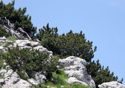 ABRUZZO NATIONAL PARK ITALY (99).JPG