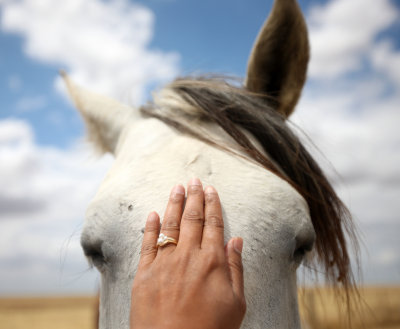 EQUIN - DOMESTIC HORSES - MALPARTIDA & MIRABELA GRASSLANDS SPAIN (37).JPG